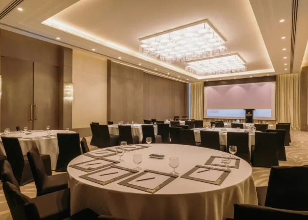 Meeting